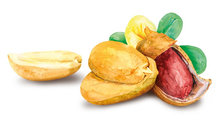 Toren Classic Peanut Compound Chocolate 52g - Image 3