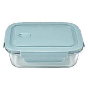 Red Cherry Borosilicate Glass Bowl 580ml (BX1002)